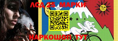 шишки Будённовск