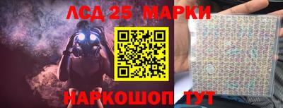 шишки Будённовск