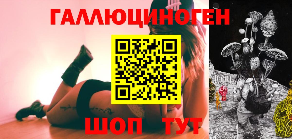 Новокузнецк  даркнет сайт  Вход с VPN  Псилоцибиновые грибы Psilocybine cubensis 
